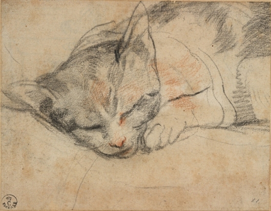 Federico Barocci Study for a cat Gabinetto Disegni e Stampe degli Uffizi
